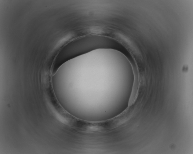 X0000094920360200712131520