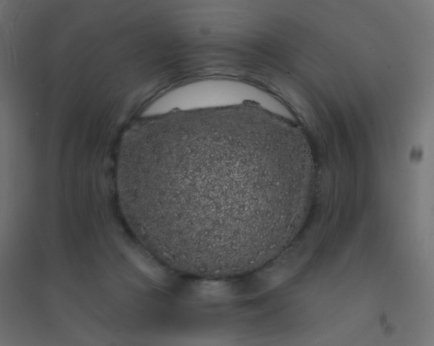 X0000094920361200712131520