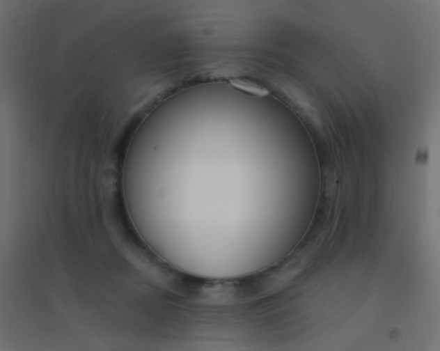 X0000094920362200712131520