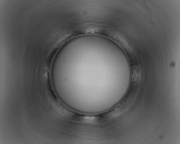 X0000094920363200712131520