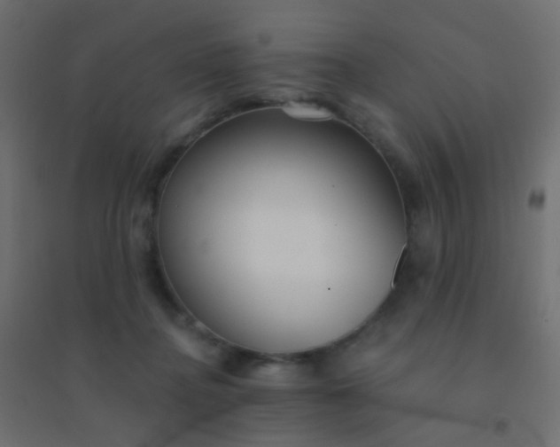 X0000094920364200712131520