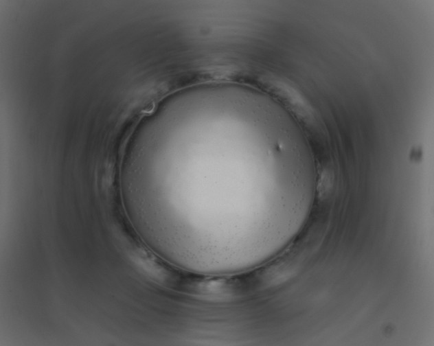 X0000094920365200712131520