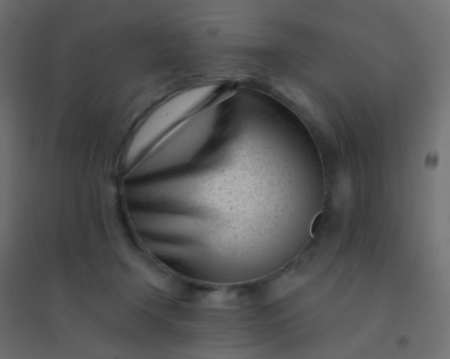 X0000094920366200712131520