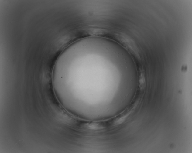 X0000094920367200712131520