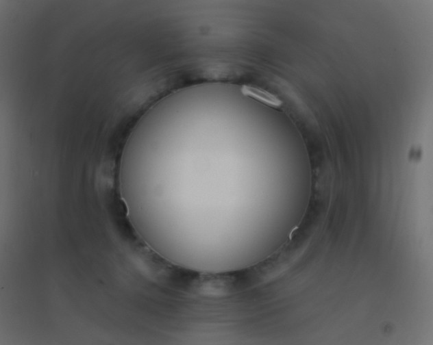 X0000094920368200712131520