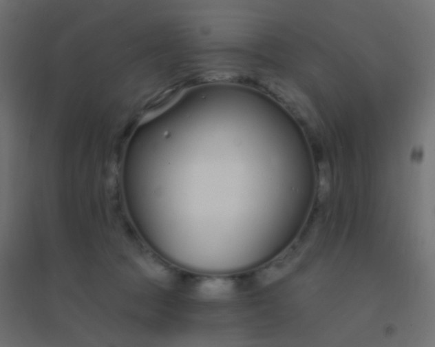 X0000094920369200712131520