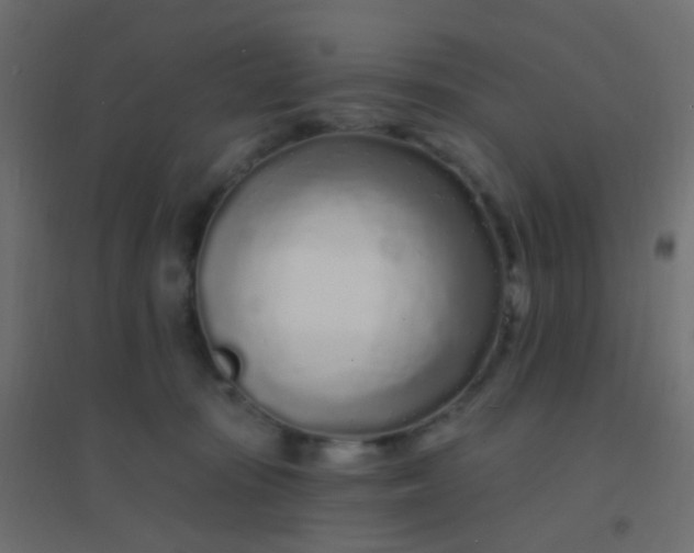 X0000094920371200712131520