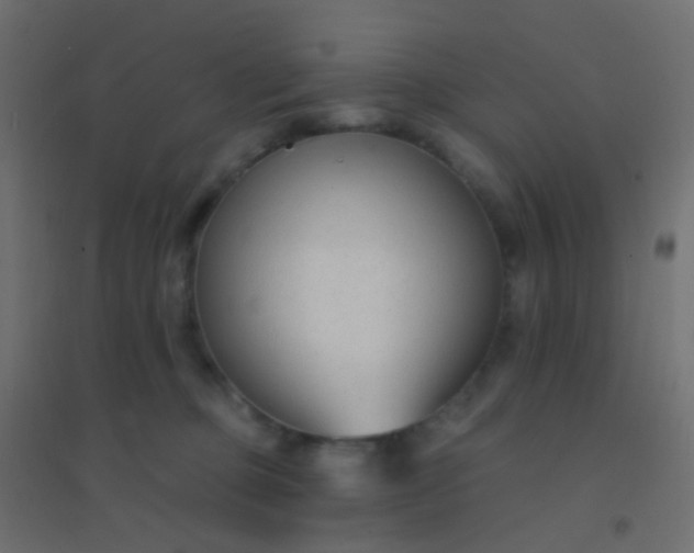 X0000094920373200712131520