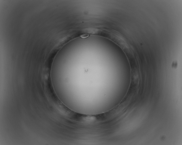 X0000094920374200712131520