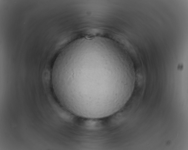 X0000094920375200712131520