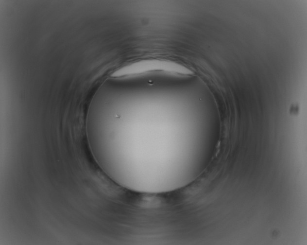 X0000094920376200712131520