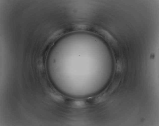 X0000094920377200712131520