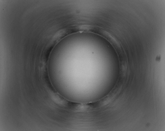 X0000094920379200712131520