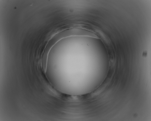 X0000094920381200712131520