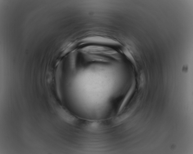 X0000094920382200712131520