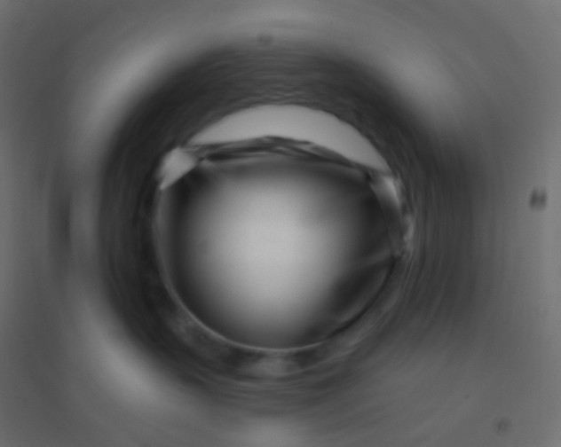 X0000094920383200712131520