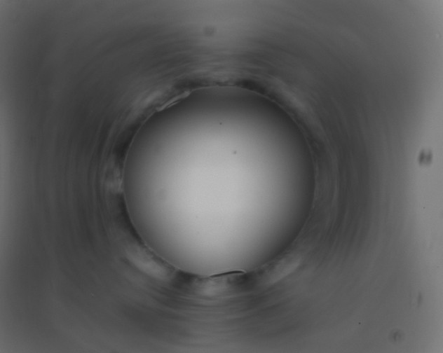 X0000094920384200712131520