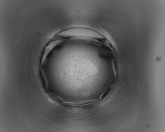 X0000094920385200712131519