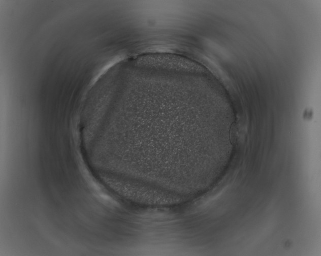 X0000094920386200712131519