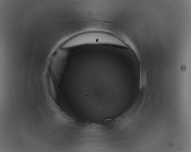 X0000094920387200712131519