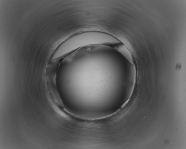 X0000094920389200712131519