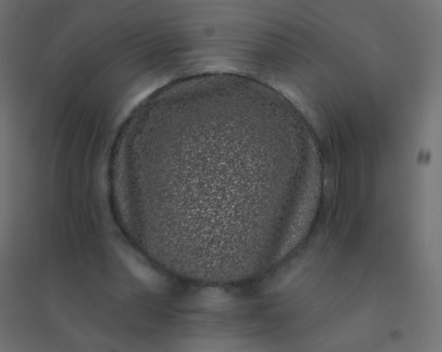 X0000094920390200712131519