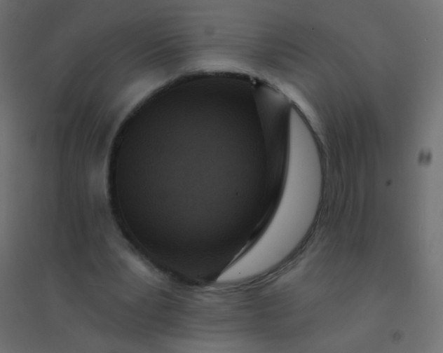 X0000094920391200712131519