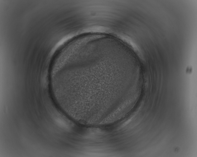 X0000094920392200712131519