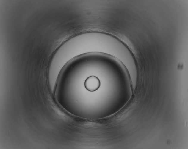 X0000094920393200712131519