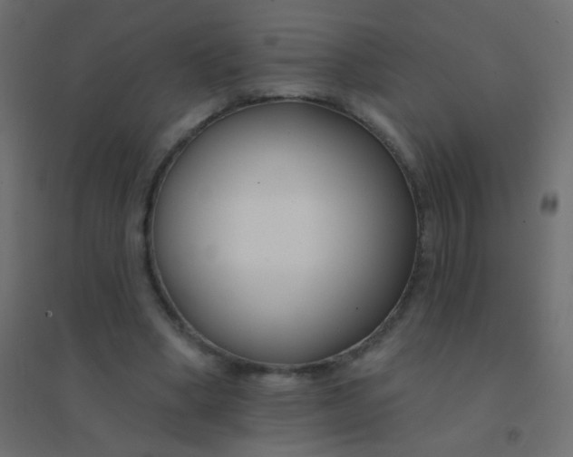 X0000094920394200712131519