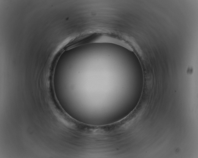 X0000094920395200712131519