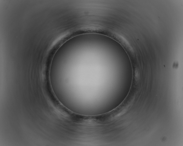 X0000094920396200712131519