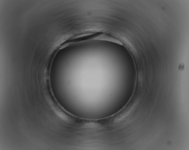 X0000094920397200712131519