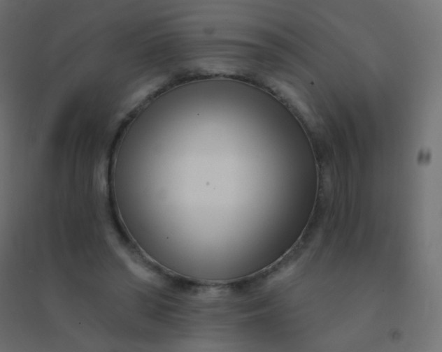 X0000094920398200712131519