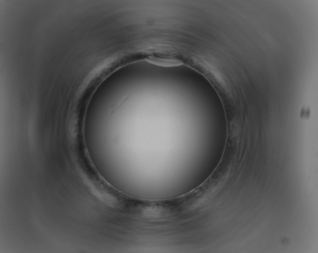 X0000094920400200712131519