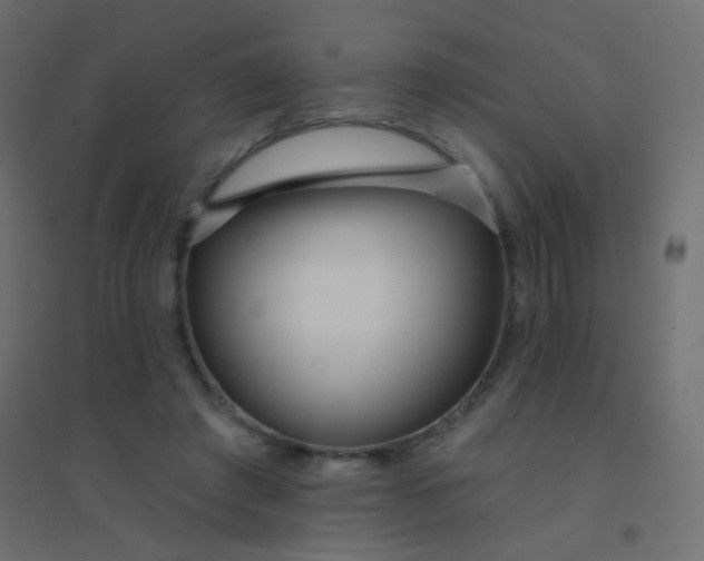 X0000094920401200712131519