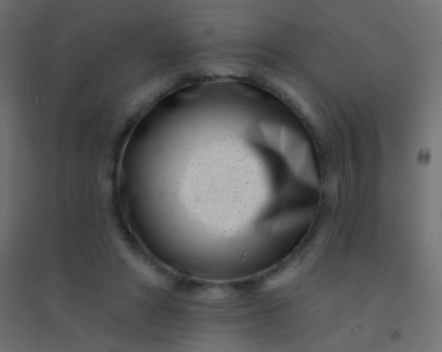 X0000094920402200712131519