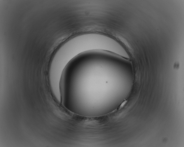 X0000094920403200712131519