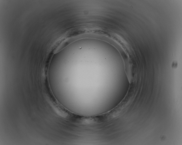 X0000094920405200712131519