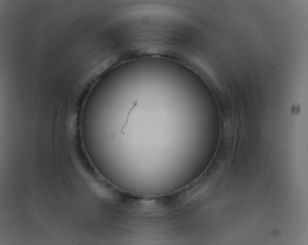 X0000094920406200712131519