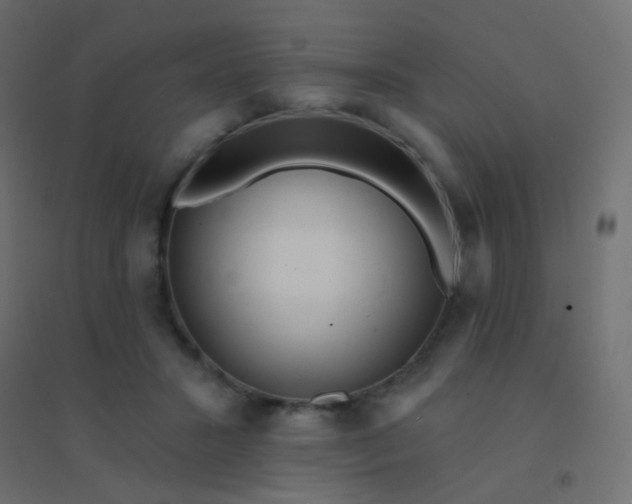 X0000094920407200712131519