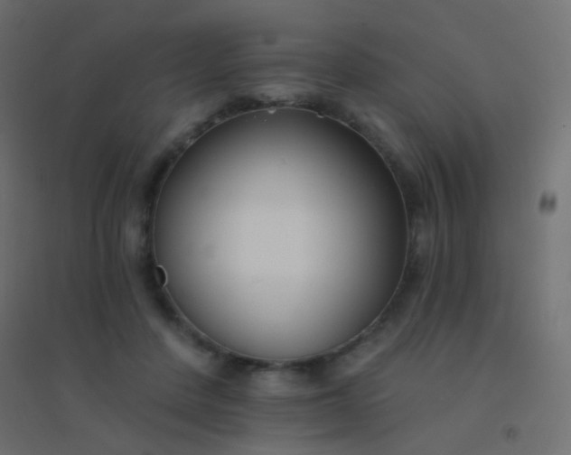 X0000094920408200712131519