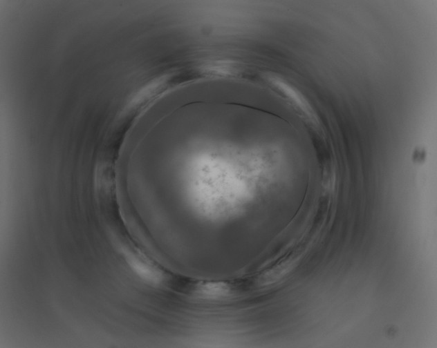 X0000094920409200712131519