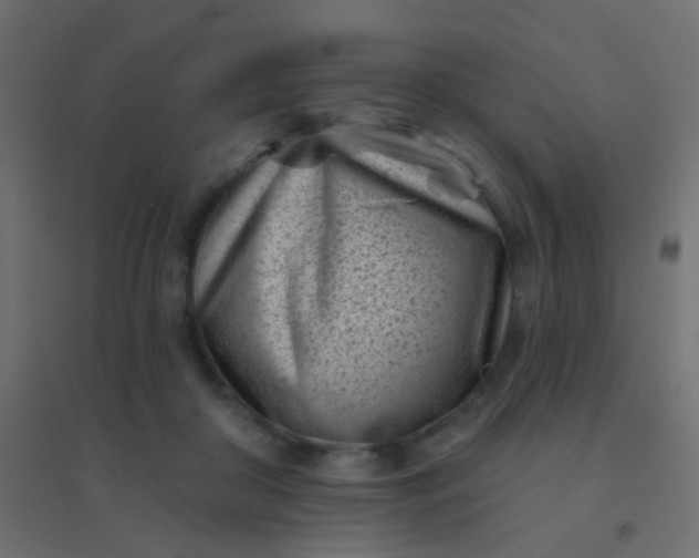 X0000094920410200712131519