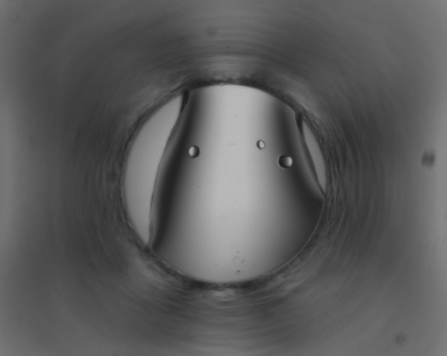 X0000094920411200712131519