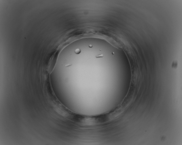 X0000094920413200712131519