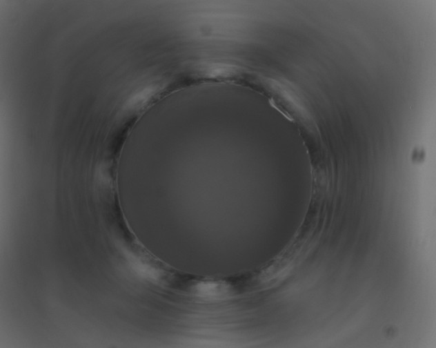 X0000094920415200712131519