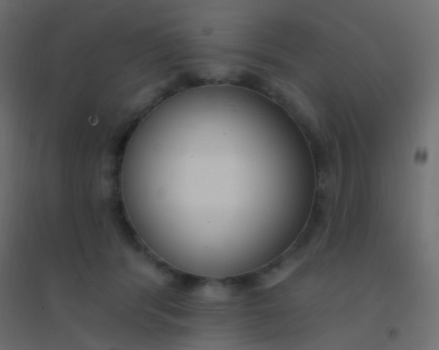 X0000094920416200712131519