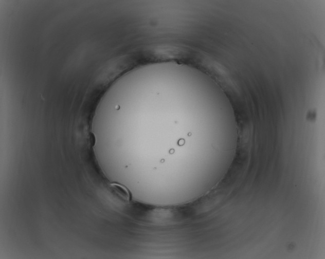 X0000094920418200712131519