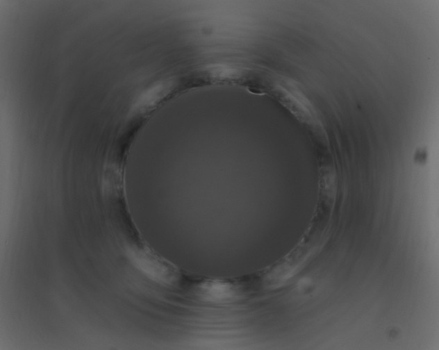 X0000094920419200712131519